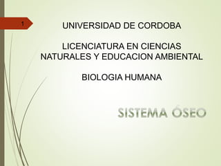 1 UNIVERSIDAD DE CORDOBA
LICENCIATURA EN CIENCIAS
NATURALES Y EDUCACION AMBIENTAL
BIOLOGIA HUMANA
 