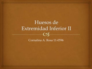 Cornalina A. Rosa 11-0596

 