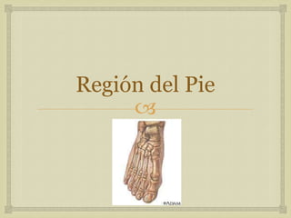 Región del Pie


 