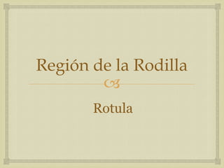 Región de la Rodilla

Rotula

 
