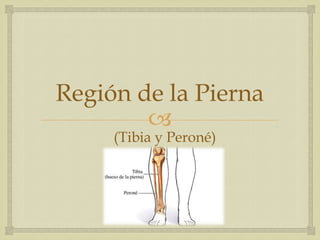 Región de la Pierna

(Tibia y Peroné)

 