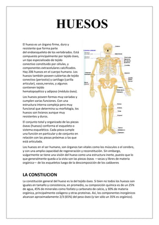 HUESOS
El hueso es un órgano firme, duro y
resistente que forma parte
del endoesqueleto de los vertebrados. Está
compuesto principalmente por tejido óseo,
un tipo especializado de tejido
conectivo constituido por células, y
componentes extracelulares calcificados.
Hay 206 huesos en el cuerpo humano. Los
huesos también poseen cubiertas de tejido
conectivo (periostio) y cartílago (carilla
articular), vasos,nervios, y algunos
contienen tejido
hematopoyético y adiposo (médula ósea).
Los huesos poseen formas muy variadas y
cumplen varias funciones. Con una
estructura interna compleja pero muy
funcional que determina su morfología, los
huesos son livianos aunque muy
resistentes y duros.
El conjunto total y organizado de las piezas
óseas (huesos) conforma el esqueleto o
sistema esquelético. Cada pieza cumple
una función en particular y de conjunto en
relación con las piezas próximas a las que
está articulada.
Los huesos en el ser humano, son órganos tan vitales como los músculos o el cerebro,
y con una amplia capacidad de regeneración y reconstitución. Sin embargo,
vulgarmente se tiene una visión del hueso como una estructura inerte, puesto que lo
que generalmente queda a la vista son las piezas óseas —secas y libres de materia
orgánica— de los esqueletos luego de la descomposición de los cadáveres


LA CONSTIUCION
La constitución general del hueso es la del tejido óseo. Si bien no todos los huesos son
iguales en tamaño y consistencia, en promedio, su composición química es de un 25%
de agua, 45% de minerales como fosfato y carbonato de calcio, y 30% de materia
orgánica, principalmente colágeno y otras proteínas. Así, los componentes inorgánicos
alcanzan aproximadamente 2/3 (65%) del peso óseo (y tan sólo un 35% es orgánico).
 
