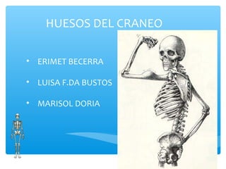 HUESOS DEL CRANEO
• ERIMET BECERRA
• LUISA F.DA BUSTOS
• MARISOL DORIA
 