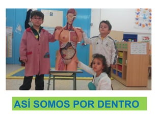 ASÍ SOMOS POR DENTRO
 