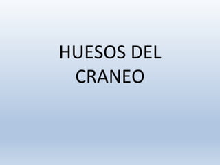 HUESOS DEL
CRANEO
 