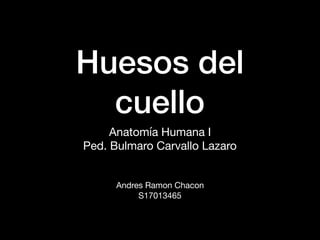 Huesos del
cuello
Anatomía Humana I

Ped. Bulmaro Carvallo Lazaro

Andres Ramon Chacon

S17013465

 