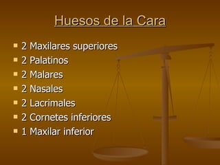 Huesos de la Cara 2 Maxilares superiores 2 Palatinos 2 Malares 2 Nasales 2 Lacrimales 2 Cornetes inferiores 1 Maxilar inferior 