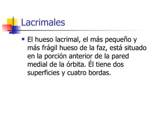 Lacrimales El hueso lacrimal, el más pequeño y más frágil hueso de la faz, está situado en la porción anterior de la pared medial de la órbita. Él tiene dos superficies y cuatro bordas.  