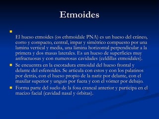 Etmoides El hueso etmoides (os ethmoidale PNA) es un hueso del cráneo, corto y compacto, central, impar y simétrico compuesto por una lamina vertical y media, una lámina horizontal perpendicular a la primera y dos masas laterales. Es un hueso de superficies muy anfractuosas y con numerosas cavidades (celdillas etmoidales). Se encuentra en la escotadura etmoidal del hueso frontal y delante del esfenoides. Se articula con estos y con los palatinos por detrás, con el hueso propio de la nariz por delante, con el maxilar superior y unguis por fuera y con el vómer por debajo. Forma parte del suelo de la fosa craneal anterior y participa en el macizo facial (cavidad nasal y órbitas). 