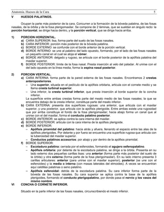 Anatomía. Huesos de la Cara
V

5

HUESOS PALATINOS.

Ocupan la parte más posterior de la cara. Concurren a la formación de la bóveda palatina, de las fosas
nasales, de la órbita y de la fosa pterigomaxilar. Se compone de 2 láminas, que se sueldan en ángulo recto: la
porción horizontal, se dirige hacia dentro, y la porción vertical, que se dirige hacia arriba.
1)

PORCION HORIZONTAL.
a) CARA SUPERIOR: lisa, forma parte del suelo de las fosas nasales.
b) CARA INFERIOR: porción más posterior de la bóveda palatina.
c) BORDE EXTERNO: se confunde con el borde anterior de la porción vertical.
d) BORDE INTERNO: se une al palatino del lado opuesto, formando, por el lado de las fosas nasales
un pequeño canal en el cual se aloja el vómer.
e) BORDE ANTERIOR: delgado y rugoso, se articula con el borde posterior de la apófisis palatina del
maxilar superior.
f) BORDE POSTERIOR: límite de la fosa nasal. Presta inserción al velo del paladar. Al unirse con el
del lado opuesto en la línea media, forma la espina nasal posterior.

2)

PORCION VERTICAL.
a) CARA INTERNA: forma parte de la pared externa de las fosas nasales. Encontramos 2 crestas
anteroposteriores.
 Una superior, situada en el pedículo de la apófisis orbitaria, articula con el cornete medio y se
llama cresta turbinal superior.
 Una inferior, la cresta turbinal inferior, que presta inserción al borde superior de la concha
inferior.
La superficie entre ambas crestas forma parte del meato medio de las fosas nasales; la que se
encuentra debajo de la cresta inferior, constituye parte del meato inferior.
b) CARA EXTERNA: presenta dos superficies rugosas: una anterior, que articula con el maxilar
superior, y una posterior, que articula con la apófisis pterigoide. Entre ambas existe una rugosidad
que por arriba constituye el fondo de la fosa pterigomaxilar; hacia abajo forma un canal que al
unirse con el del maxilar, forma el conducto palatino posterior.
c) BORDE ANTERIOR: se aplica contra la cara interna del maxilar.
d) BORDE POSTERIOR: articula con la cara interna de la apófisis pterigoide.
e) BORDE INFERIOR:
 Apófisis piramidal del palatino: hacia atrás y afuera, llenando el espacio entre las alas de la
apófisis pterigoides. Por delante y por fuera se encuentra una superficie rugosa que articula con
la tuberosidad del maxilar superior.
 Conductos palatinos accesorios: por abajo y por dentro de la apófisis piramidal.
f) BORDE SUPERIOR:
 Escotadura palatina: cerrada por el esfenoides, formando el agujero esfenopalatino.
 Apófisis orbitaria: por delante de la escotadura palatina, se dirige a la órbita. Presenta en su
lado externo dos pequeñas carillas lisas: una anterior (forma parte más posterior del suelo de
la órbita) y otra externa (forma parte de la fosa pterigomaxilar). En su lado interno presenta 3
carillas articulares: anterior (para unirse con el maxilar superior), posterior (se une con el
esfenoides) y la media o interna (con masas laterales del etmoides). A veces se encuentran
aquí celdillas palatinas o seno palatino.
 Apófisis esfenoidal: detrás de la escotadura palatina. Su cara inferior forma parte de la
bóveda de las fosas nasales. Su cara superior se aplica contra la base de la apófisis
pterigoides, formando el conducto pterigopalatino, por donde pasa el nervio y los vasos del
mismo nombre.
CONCHA O CORNETE INFERIOR.

VI

Situado en la parte inferior de las fosas nasales, circunscribiendo el meato inferior.

 