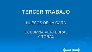 TERCER TRABAJO
HUESOS DE LA CARA
COLUMNA VERTEBRAL
Y TÓRAX
VOLVER TEMAS
 