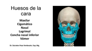 Huesos de la
cara
Maxilar
Cigomático
Nasal
Lagrimal
Concha nasal inferior
Vómer
Dr. Sócrates Pozo Verdesoto. Esp; Mg.
 