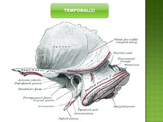 TEMPORAL(2)

 