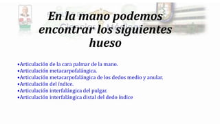 En la mano podemos
encontrar los siguientes
hueso
•Articulación de la cara palmar de la mano.
•Articulación metacarpofalángica.
•Articulación metacarpofalángica de los dedos medio y anular.
•Articulación del índice.
•Articulación interfalángica del pulgar.
•Articulación interfalángica distal del dedo índice
 