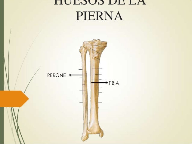 La crema el día y la noche de la eccema
