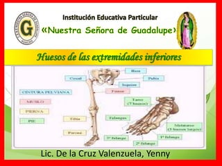 Huesos de las extremidades inferiores
Lic. De la Cruz Valenzuela, Yenny
 