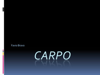 cARPO Favio Bravo 