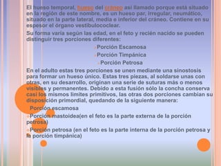 El hueso temporal, hueso del cráneo así llamado porque está situado en la región de este nombre, es un hueso par, irregular, neumático, situado en la parte lateral, media e inferior del cráneo. Contiene en su espesor el órgano vestibulococlear.Su forma varía según las edad, en el feto y recién nacido se pueden distinguir tres porciones diferentes:Porción Escamosa