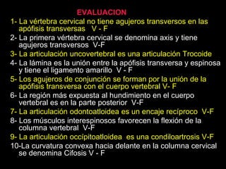 EVALUACION 1 
1- La vértebra cervical no tiene agujeros transversos en las 
apófisis transversas V - F 
2- La primera vértebra cervical se denomina axis y tiene 
agujeros transversos V-F 
3- La articulación uncovertebral es una articulación Trocoide 
4- La lámina es la unión entre la apófisis transversa y espinosa 
y tiene el ligamento amarillo V - F 
5- Los agujeros de conjunción se forman por la unión de la 
apófisis transversa con el cuerpo vertebral V- F 
6- La región más expuesta al hundimiento en el cuerpo 
vertebral es en la parte posterior V-F 
7- La articulación odontoatloidea es un encaje recíproco V-F 
8- Los músculos interespinosos favorecen la flexión de la 
columna vertebral V-F 
9- La articulación occípitoatloidea es una condiloartrosis V-F 
10-La curvatura convexa hacia delante en la columna cervical 
se denomina Cifosis V - F 

