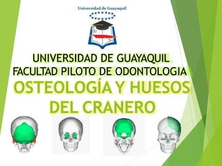 OSTEOLOGÍA Y HUESOS
DEL CRANERO
UNIVERSIDAD DE GUAYAQUIL
FACULTAD PILOTO DE ODONTOLOGIA
 