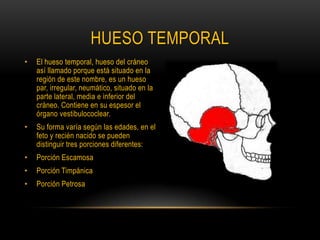 HUESO TEMPORALEl hueso temporal, hueso del cráneo así llamado porque está situado en la región de este nombre, es un hueso par, irregular, neumático, situado en la parte lateral, media e inferior del cráneo. Contiene en su espesor el órgano vestibulococlear.Su forma varía según las edades, en el feto y recién nacido se pueden distinguir tres porciones diferentes:Porción EscamosaPorción TimpánicaPorción Petrosa