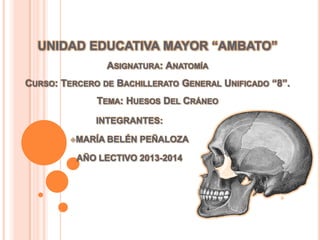 UNIDAD EDUCATIVA MAYOR “AMBATO”
ASIGNATURA: ANATOMÍA

CURSO: TERCERO DE BACHILLERATO GENERAL UNIFICADO “8”.
TEMA: HUESOS DEL CRÁNEO
INTEGRANTES:
MARÍA

BELÉN PEÑALOZA

AÑO LECTIVO 2013-2014

 