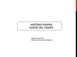 16/04/2020
1
ANATOMÍA HUMANA
HUESOS DEL CRANEO
David Orozco Brito
Medicina/ Medicina del Deporte
 