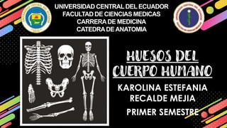 UNIVERSIDAD CENTRALDEL ECUADOR
FACULTAD DE CIENCIAS MEDICAS
CARRERADE MEDICINA
CATEDRADEANATOMIA
HUESOS DEL
CUERPO HUMANO
KAROLINA ESTEFANIA
RECALDE MEJIA
PRIMER SEMESTRE
 