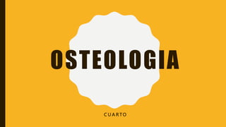 OSTEOLOGIA
C U A R T O
 