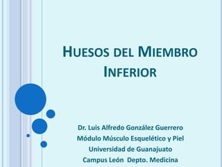 HUESOS DEL MIEMBRO
INFERIOR
Dr. Luis Alfredo González Guerrero
Módulo Músculo Esquelético y Piel
Universidad de Guanajuato
Campus León Depto. Medicina
 