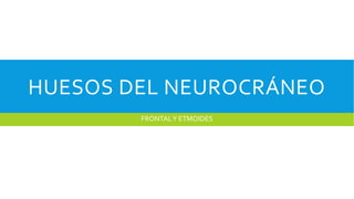 HUESOS DEL NEUROCRÁNEO
FRONTALY ETMOIDES
 