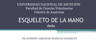UNIVERSIDAD NACIONAL DE ASUNCIÓN
Facultad de Ciencias Veterinarias
Cátedra de Anatomía
ESQUELETO DE LA MANO
dedo
DR. ROBERTO ABRAHAM MARECOS CHARRUFF
 