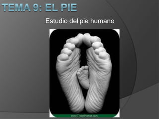 Estudio del pie humano

 