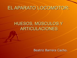 EL APARATO LOCOMOTOR: HUESOS, MÚSCULOS Y  ARTICULACIONES Beatriz Barrera Cacho. 
