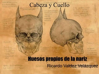 Cabeza y Cuello

Huesos propios de la nariz
Ricardo Valdez Velázquez

 