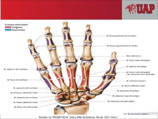 Schünke, col. PROMETHEUS, Texto y Atlas de Anatomía, 2da ed., 2012. Tomo 1
 