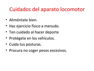 Cuidados del aparato locomotor Aliméntate bien. Haz ejercicio físico a menudo. Ten cuidado al hacer deporte Protégete en los vehículos. Cuida tus posturas. Procura no coger pesos excesivos. 