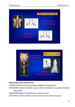 R. Martín-Gil Parra Anatomía Humana
ROTACIÓN: Movimiento del hueso sobre su propio eje.
CIRCUNDUCCIÓN: Movimiento por el c...