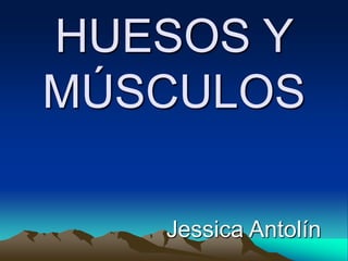 HUESOS Y
MÚSCULOS
Jessica Antolín
 
