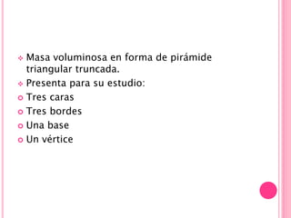  Masa voluminosa en forma de pirámide
triangular truncada.
 Presenta para su estudio:
 Tres caras
 Tres bordes
 Una base
 Un vértice
 