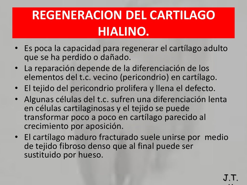 Diferencias Entre Hueso Y Cartilago Hueso y cartilago UPSJB