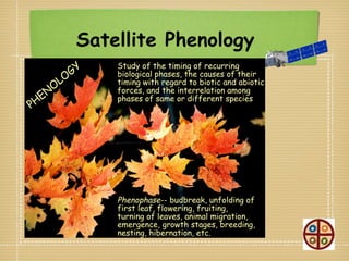 Satellite Phenology
             GY
                  Study of the timing of recurring
                  biological phases, the causes of their
        LO        timing with regard to biotic and abiotic
     O
   EN
                  forces, and the interrelation among
                  phases of same or different species
PH




                  Phenophase-- budbreak, unfolding of
                  first leaf, flowering, fruiting,
                  turning of leaves, animal migration,
                  emergence, growth stages, breeding,
                  nesting, hibernation, etc.
 