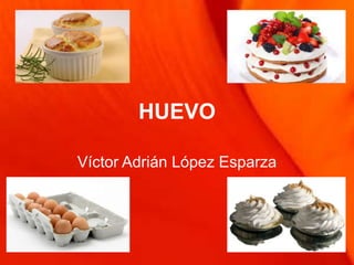 HUEVO

Víctor Adrián López Esparza
 