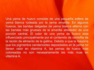Una yema de huevo consiste de una pequeña esfera de
yema blanca rodeada por la yema amarilla. En algunos
huevos, las bandas delgadas de yema blanca alterna con
las bandas más gruesas de la amarilla alrededor de una
porción central. El color de una yema de huevo esta
influenciado principalmente por el contenido de xantofila de
la ración de alimento de la gallina. Debido a que la mayoría
que los pigmentos carotenoides depositados en la yema no
tienen valor en vitamina A, las yemas de huevo más
coloreadas no son necesariamente las más ricas en
vitamina A.
 