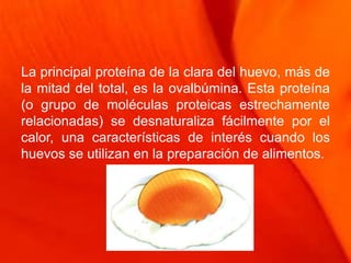 La principal proteína de la clara del huevo, más de
la mitad del total, es la ovalbúmina. Esta proteína
(o grupo de moléculas proteicas estrechamente
relacionadas) se desnaturaliza fácilmente por el
calor, una características de interés cuando los
huevos se utilizan en la preparación de alimentos.
 