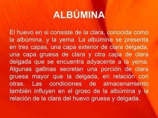 ALBÚMINA
El huevo en si consiste de la clara, conocida como
la albúmina, y la yema. La albúmina se presenta
en tres capas, una capa exterior de clara delgada,
una capa gruesa de clara y otra capa de clara
delgada que se encuentra adyacente a la yema.
Algunas gallinas secretan una porción de clara
gruesa mayor que la delgada, en relación con
otras. Las condiciones de almacenamiento
también influyen en el groso de la albúmina y la
relación de la clara del huevo gruesa y delgada.
 