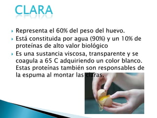 ClaraRepresenta el 60% del peso del huevo. Está constituida por agua (90%) y un 10% de proteínas de alto valor biológico Es una sustancia viscosa, transparente y se coagula a 65 C adquiriendo un color blanco. Estas proteínas también son responsables de la espuma al montar las claras.