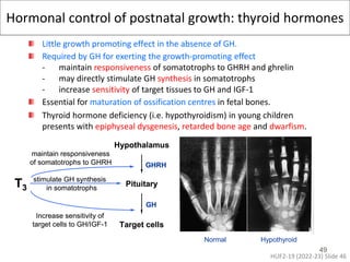 HUF2-21&22 Thyroid Physiology I&II (2022-23) (PPT) 2.pdf