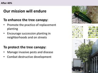 “Growing Savvy Tree Advocates: Citizen Advocate Handbook and Strategy ...