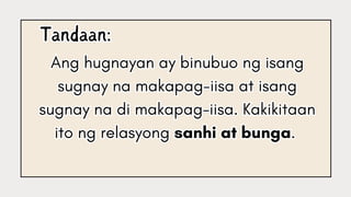 Sentences In Filipino Comprehensive Guide to Types of Sentences in Filipino Language | PDF